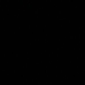 Meet your Posher, Dajuan